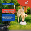 Tigela Gelada Jambo Cool para Cães e Gatos